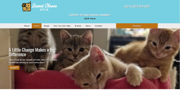 Purrchase for a Cause - August/September - Second Chance SPCA
